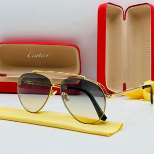 Cartier CT1004 Aviator Sunglass