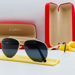Cartier CT1004 Aviator Sunglass
