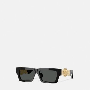 Versace Ve4484bu Sunglass